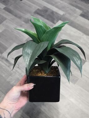 Green Faux Potted Plant in Black Ceramic Planter
